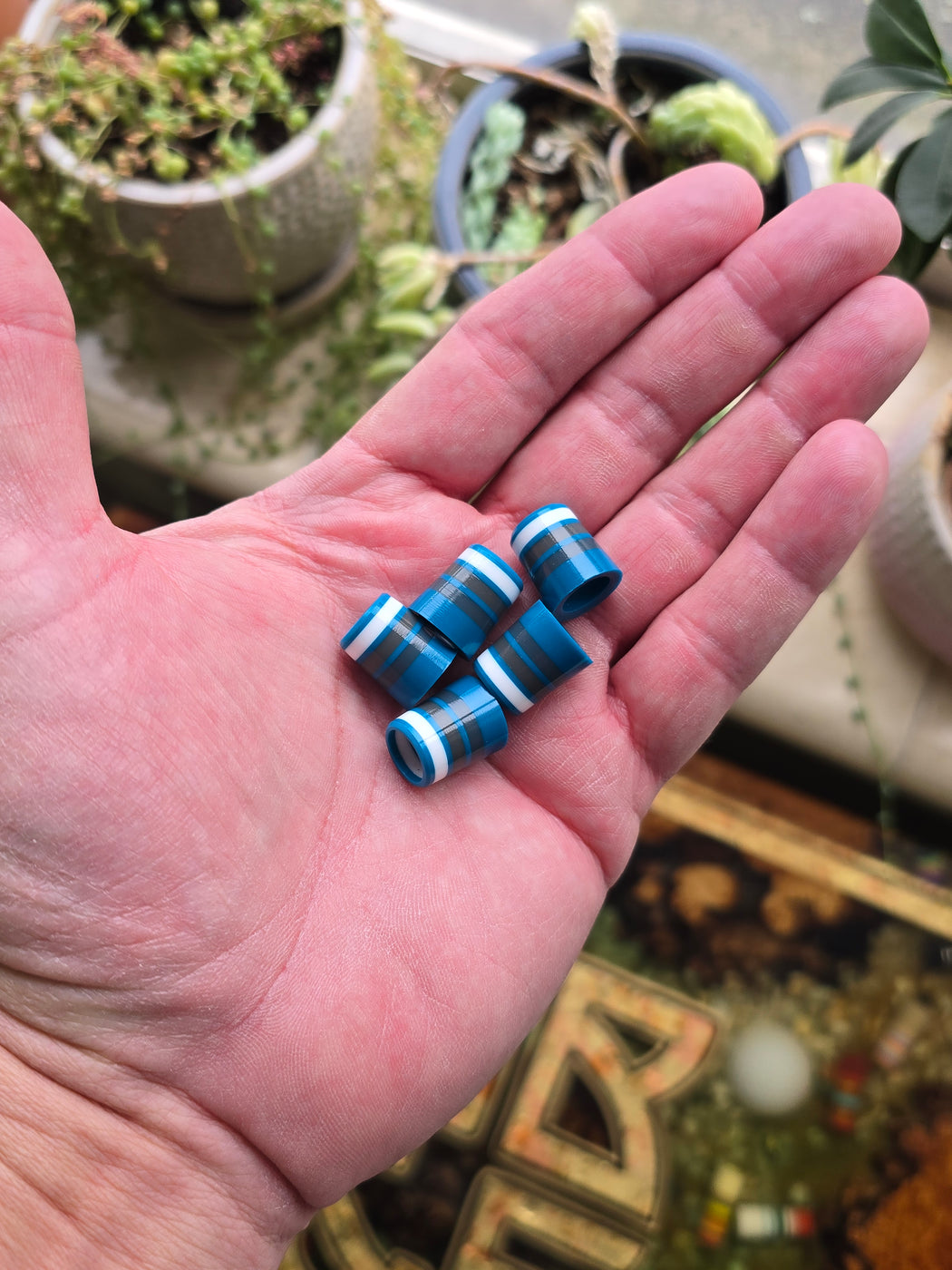 ForeRunner v6 (.335 ")