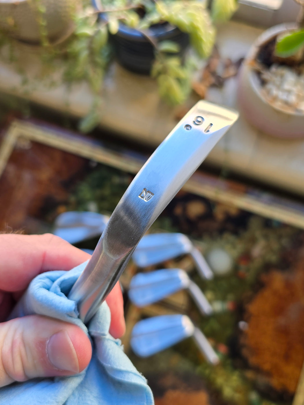 Chicken Stick (Ground by DW)