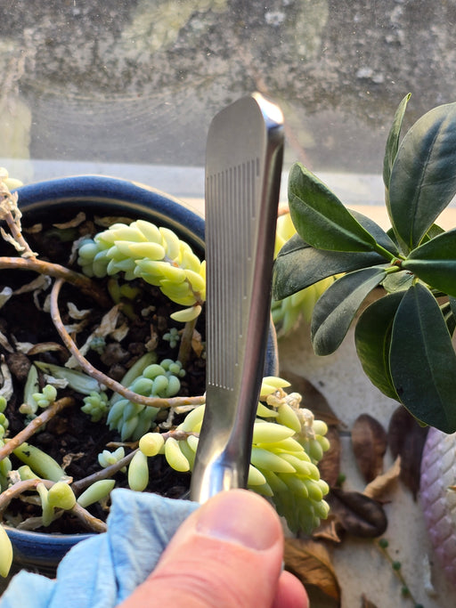 18 deg Chicken Stick (Ground by DW)