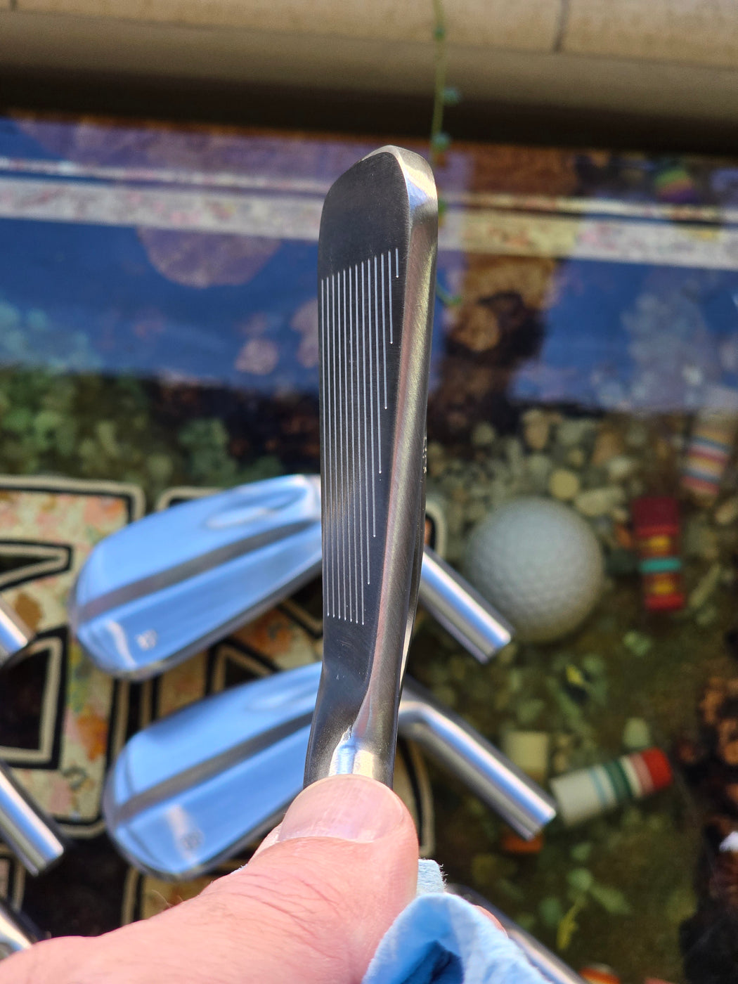 Chicken Stick (Ground by DW)