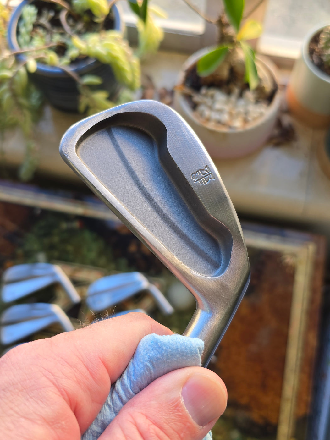 Chicken Stick (Ground by DW)