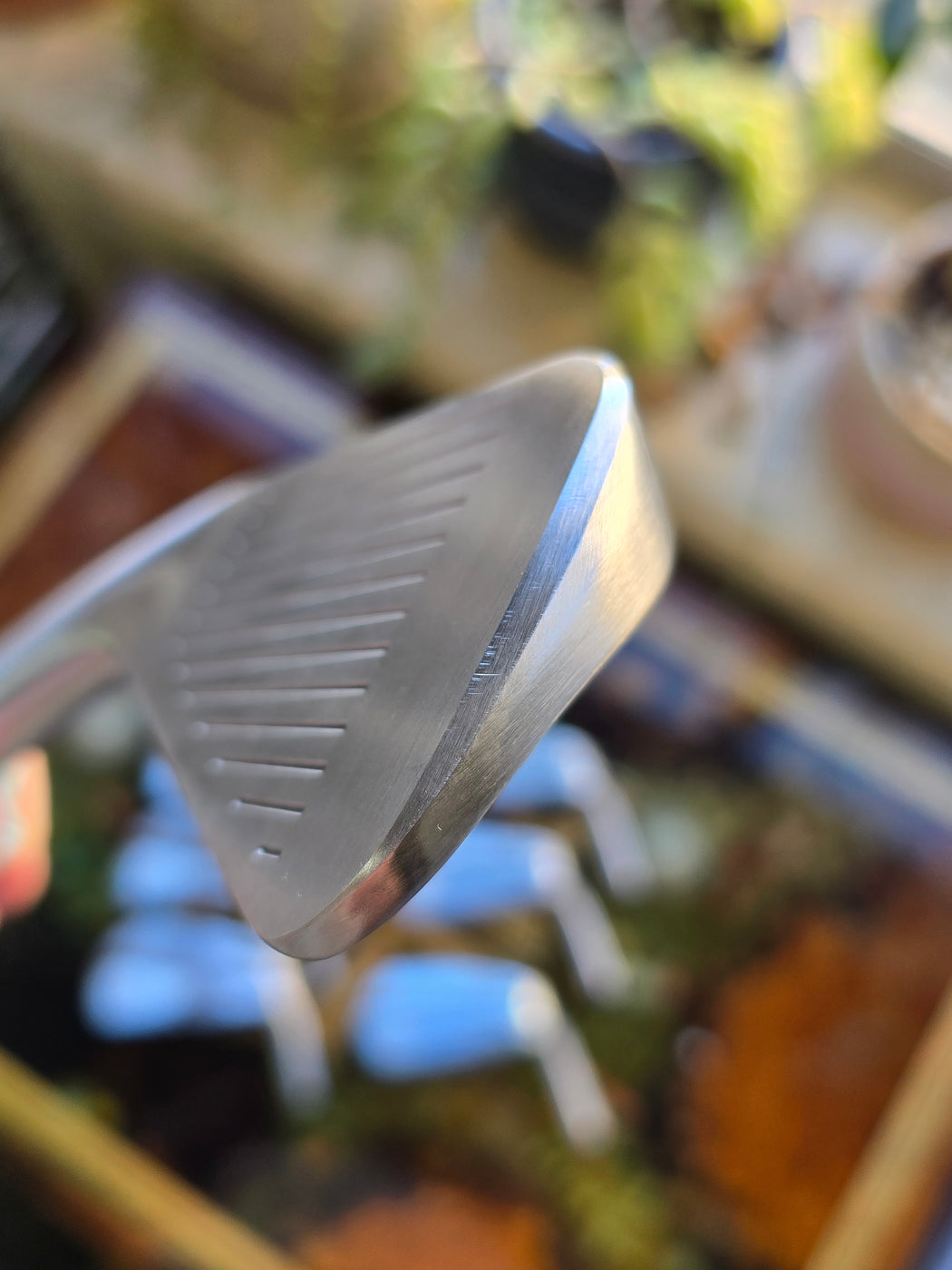 Chicken Stick (Ground by DW)