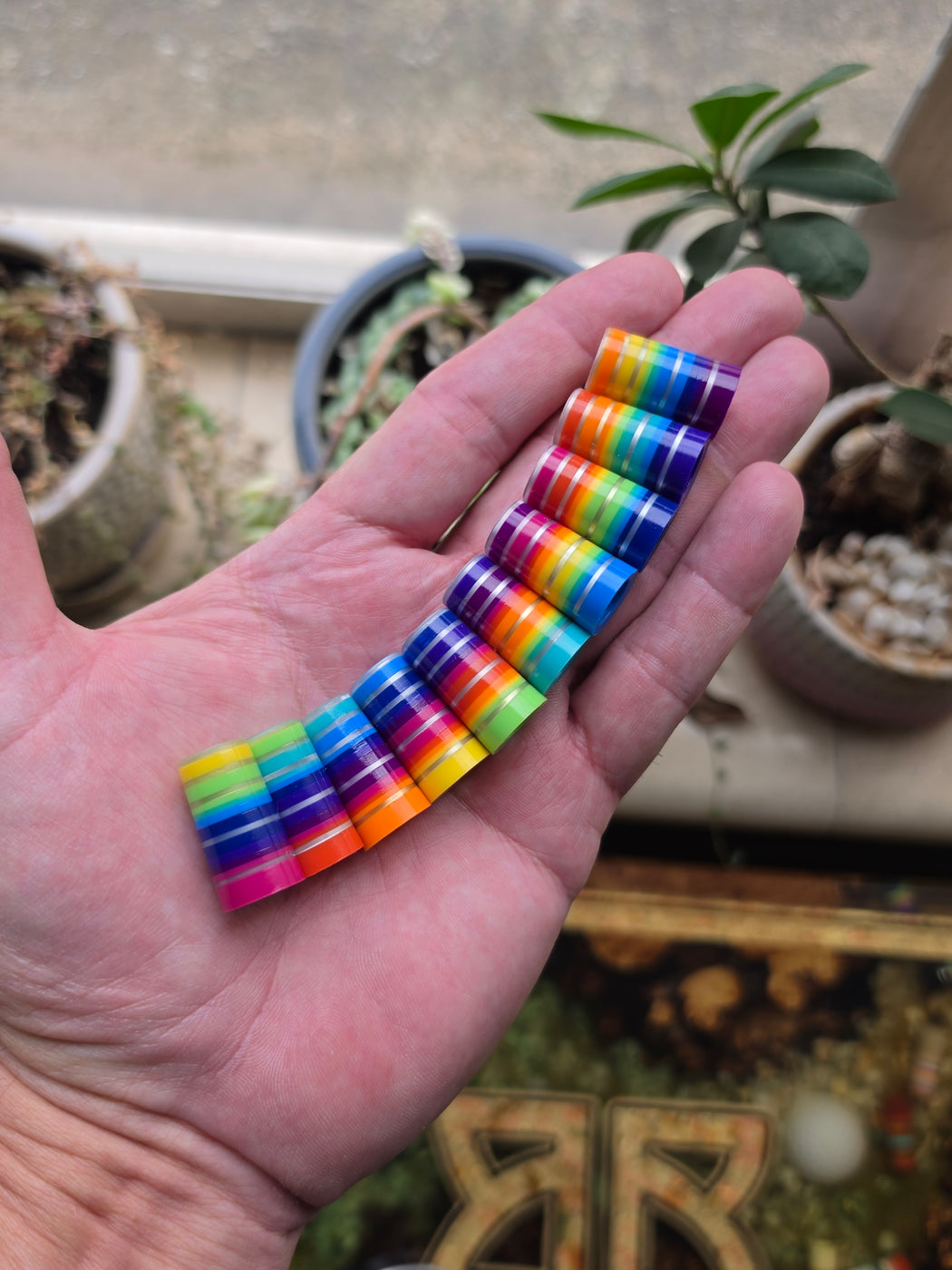 Rainbow Recluse